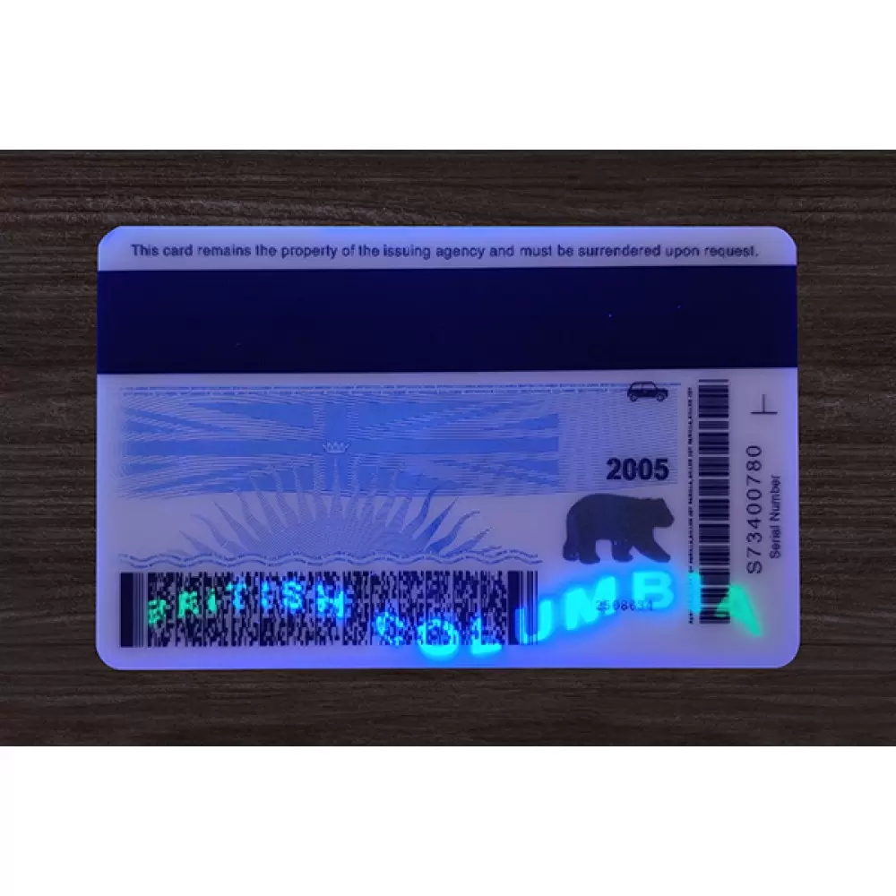 British Columbia (B.C.) Fake ID (2025 Version)