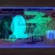 Pennsylvania (PA) Fake ID (2025 Version)