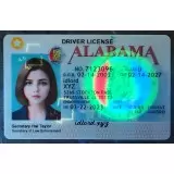 Alabama (AL) Fake Driver's license