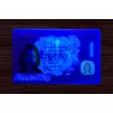 Tennessee (TN) Fake ID (2025 Version)