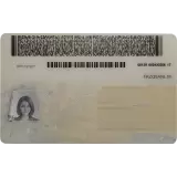 New York (NY) CDL